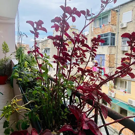 Gæstehus Apartment Tirana