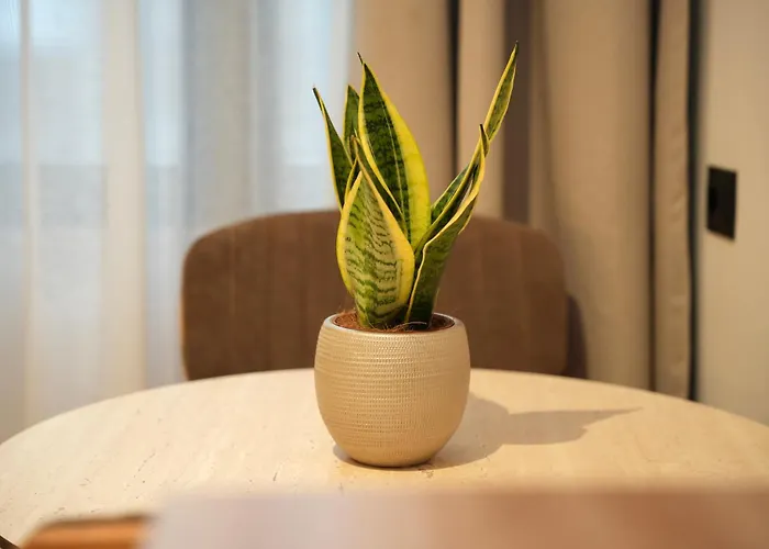 Appartement Nea Deluxe