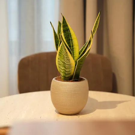 Apartman Nea Deluxe